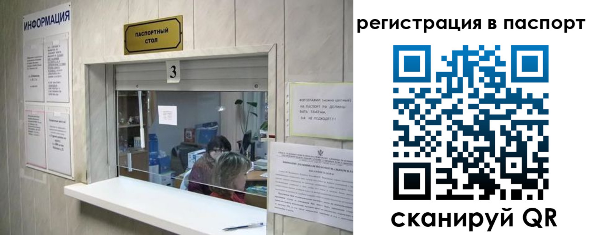 прописка поиск в Электрогорске